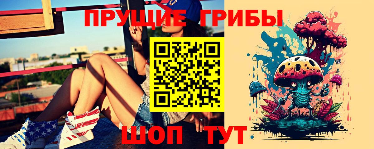 Псилоцибиновые грибы Cubensis  Галлюциногенные грибы мицелий  Можайск  Вход с VPN 