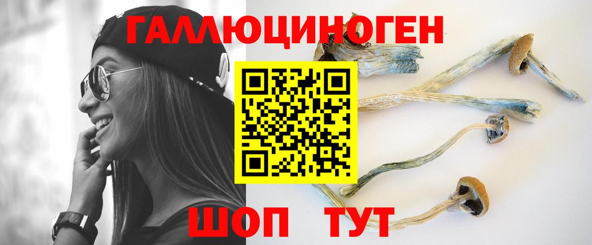 Псилоцибиновые грибы прущие грибы Можайск
